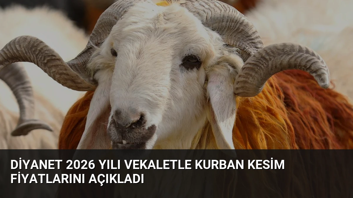 Diyanet 2026 Yılı Vekaletle Kurban Kesim Fiyatlarını Açıkladı