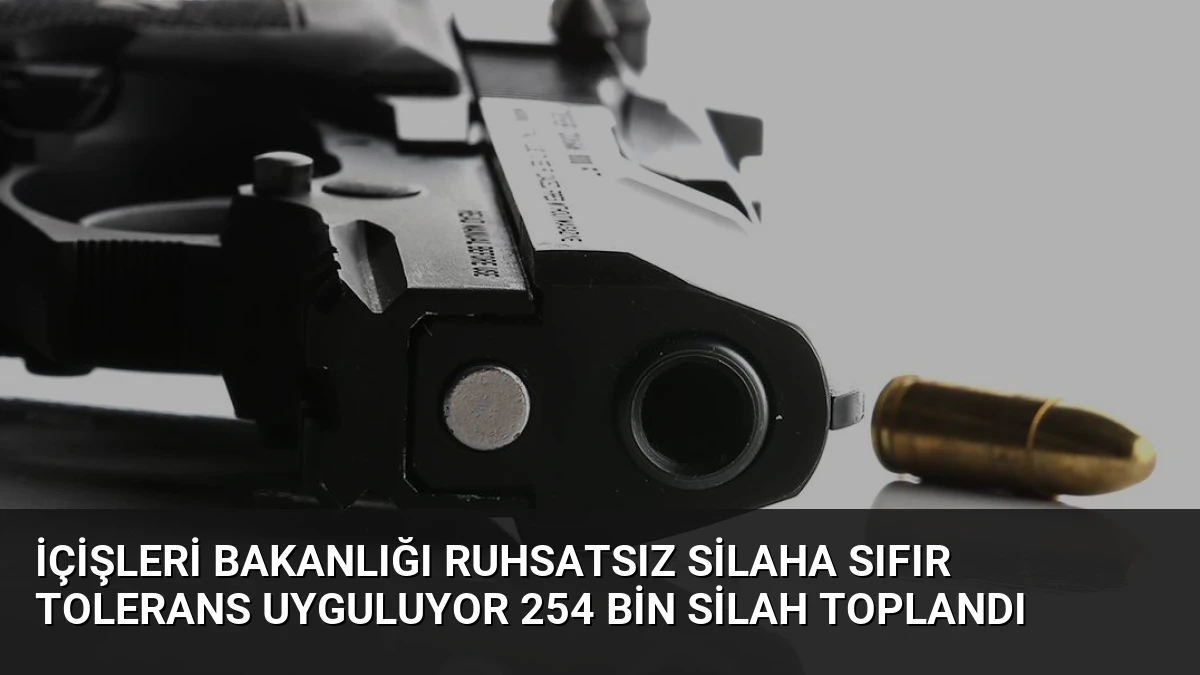 İçişleri Bakanlığı Ruhsatsız Silaha Sıfır Tolerans Uyguluyor 254 Bin Silah Toplandı