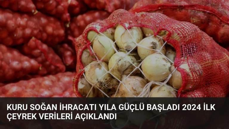 Kuru Soğan İhracatı Yıla Güçlü Başladı 2024 İlk Çeyrek Verileri Açıklandı