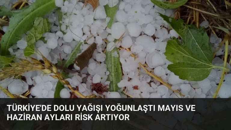 Türkiye’de Dolu Yağışı Yoğunlaştı Mayıs ve Haziran Ayları Risk Artıyor