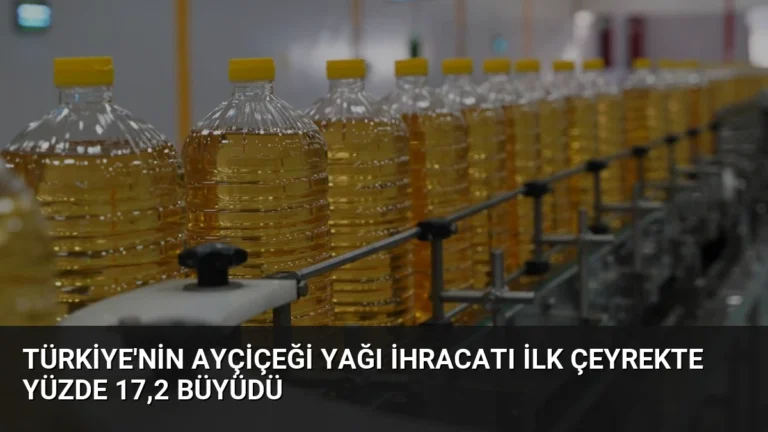 Türkiye’nin Ayçiçeği Yağı İhracatı İlk Çeyrekte Yüzde 17,2 Büyüdü