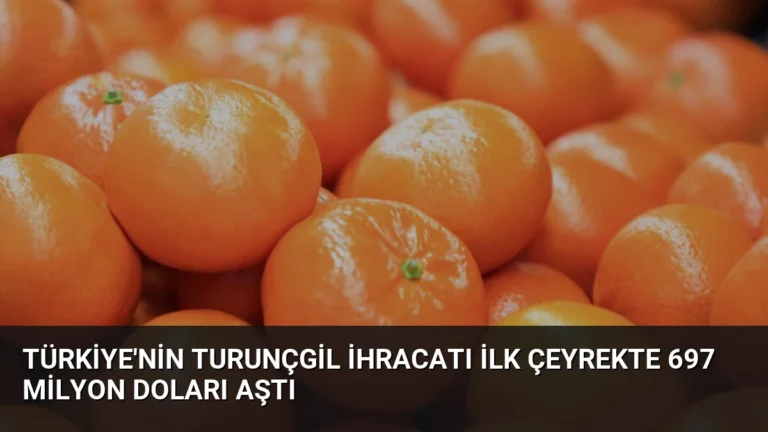 Türkiye’nin Turunçgil İhracatı İlk Çeyrekte 697 Milyon Doları Aştı
