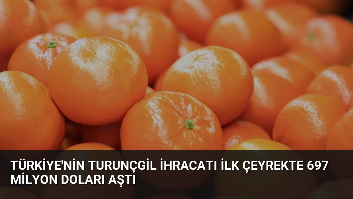 Türkiye’nin Turunçgil İhracatı İlk Çeyrekte 697 Milyon Doları Aştı