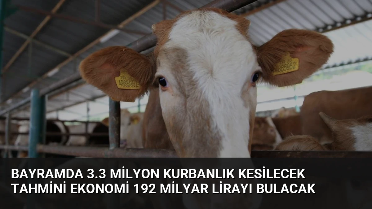 Bayramda 3.3 Milyon Kurbanlık Kesilecek Tahmini Ekonomi 192 Milyar Lirayı Bulacak