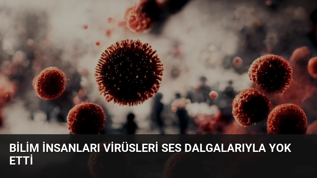 Bilim İnsanları Virüsleri Ses Dalgalarıyla Yok Etti