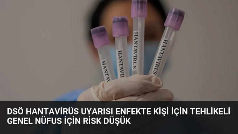 DSÖ Hantavirüs Uyarısı Enfekte Kişi İçin Tehlikeli Genel Nüfus İçin Risk Düşük