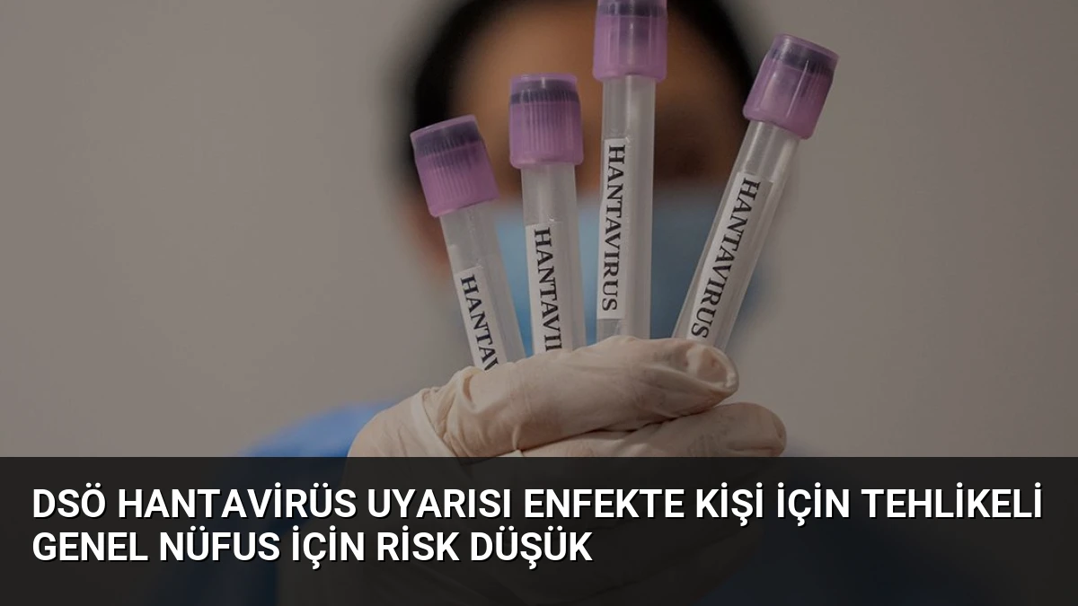 DSÖ Hantavirüs Uyarısı Enfekte Kişi İçin Tehlikeli Genel Nüfus İçin Risk Düşük