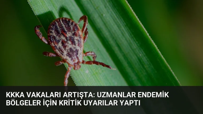 KKKA Vakaları Artışta: Uzmanlar Endemik Bölgeler İçin Kritik Uyarılar Yaptı