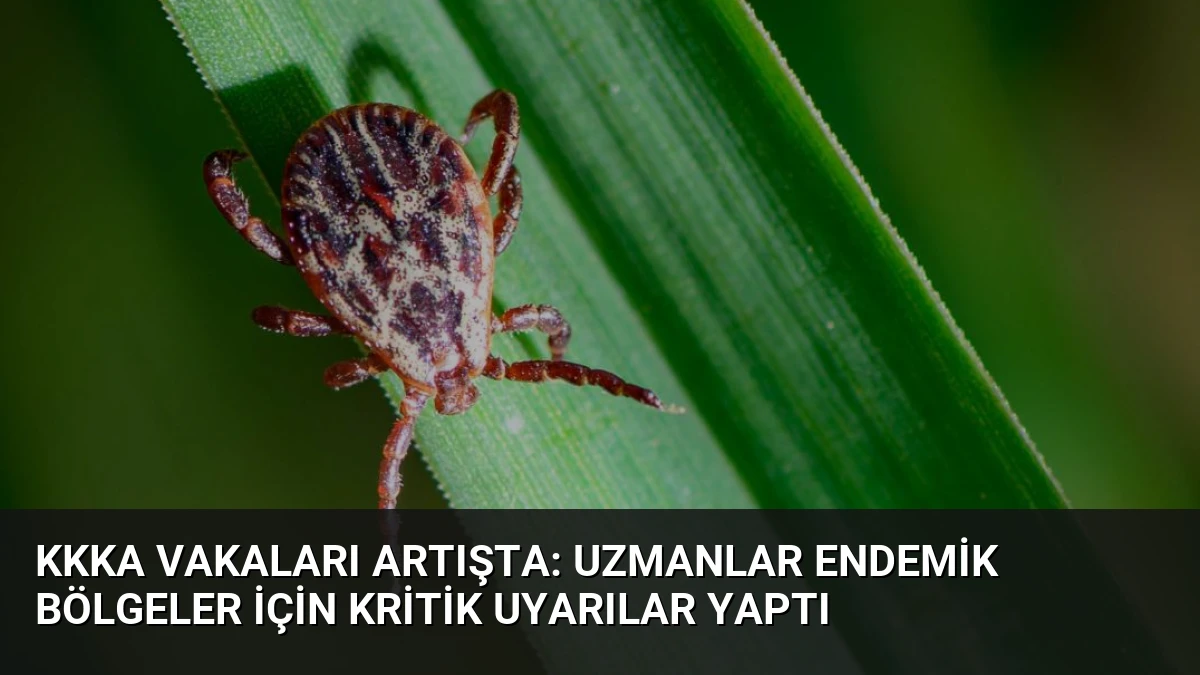 KKKA Vakaları Artışta: Uzmanlar Endemik Bölgeler İçin Kritik Uyarılar Yaptı