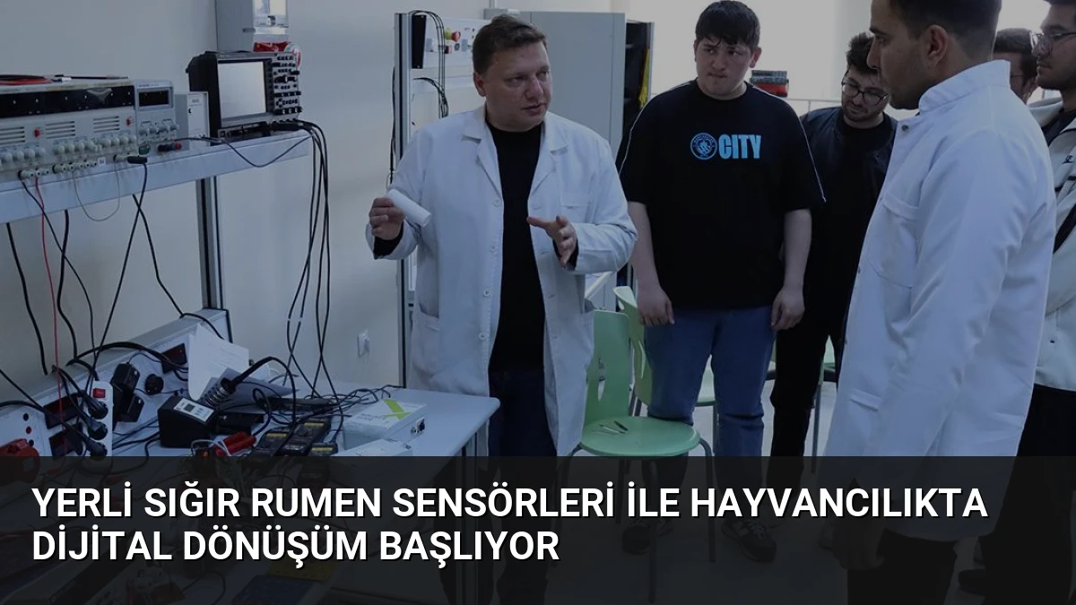 Yerli Sığır Rumen Sensörleri İle Hayvancılıkta Dijital Dönüşüm Başlıyor
