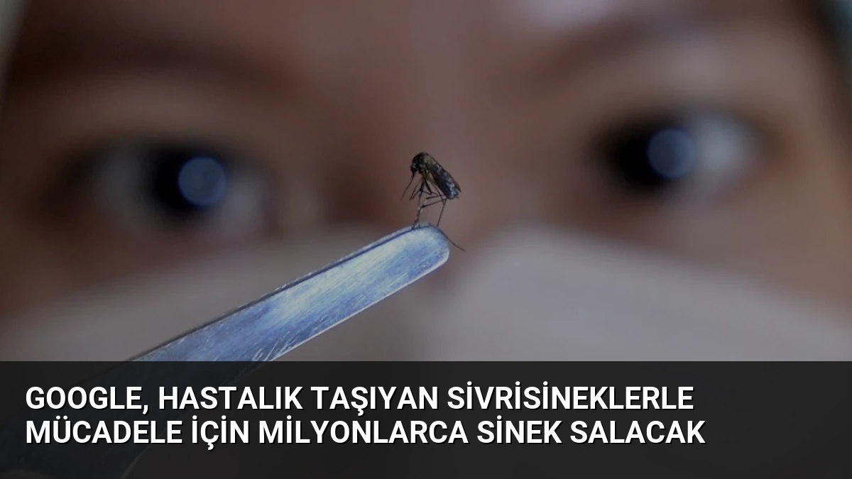 Google, Hastalık Taşıyan Sivrisineklerle Mücadele İçin Milyonlarca Sinek Salacak