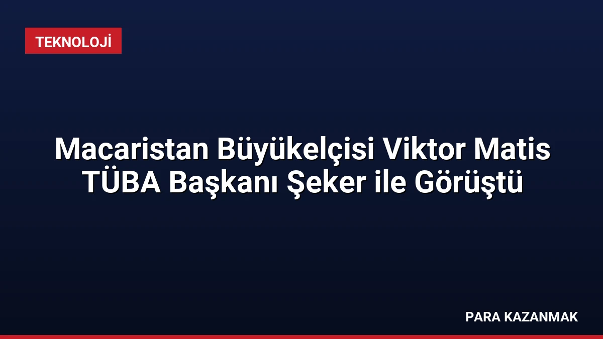 Macaristan Büyükelçisi Viktor Matis TÜBA Başkanı Şeker ile Görüştü