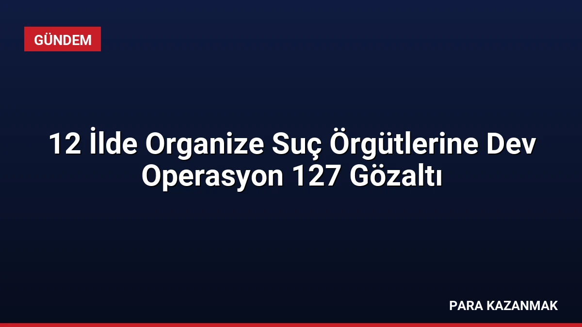 12 İlde Organize Suç Örgütlerine Dev Operasyon 127 Gözaltı