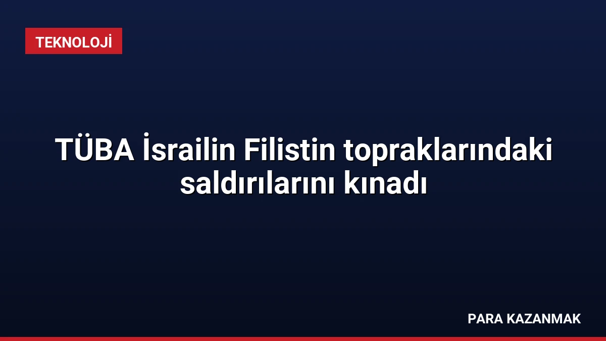 TÜBA İsrailin Filistin topraklarındaki saldırılarını kınadı