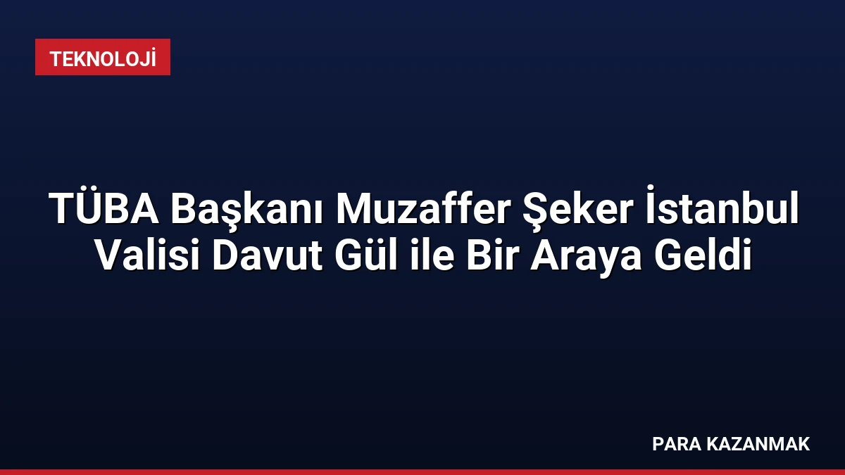 TÜBA Başkanı Muzaffer Şeker İstanbul Valisi Davut Gül ile Bir Araya Geldi