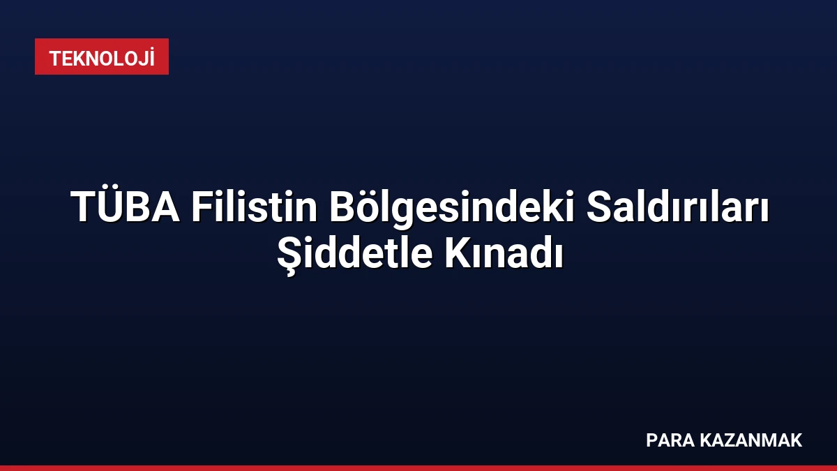 TÜBA Filistin Bölgesindeki Saldırıları Şiddetle Kınadı